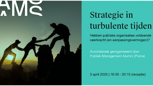 Strategie in turbulente tijden. Hebben publieke organisaties voldoende veerkracht (en aanpassingsvermogen)?